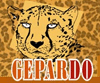 Internetov obchod Gepardo