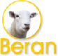 Internetový obchod BERAN - Termoprádlo a vlněné funkční prádlo Devold