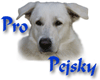 Internetový obchod ProPejsky - naturální krmiva pro psy